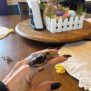 nicole added a photo of their purchase