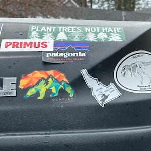 OWN Bumper Sticker - One With Nature