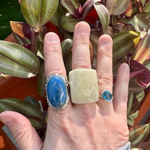 Polly added a photo of their purchase