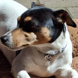 Doris added a photo of their purchase