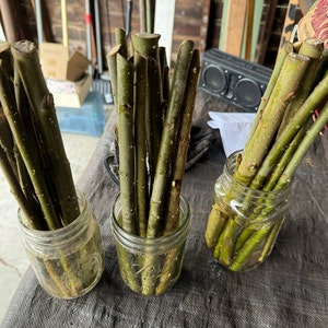 Roberto ha añadido una foto de su compra