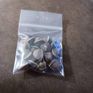 Evi heeft een foto van de aankoop toegevoegd
