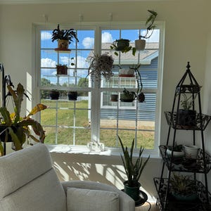 JoAnn added a photo of their purchase