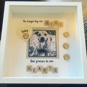 Rachel added a photo of their purchase