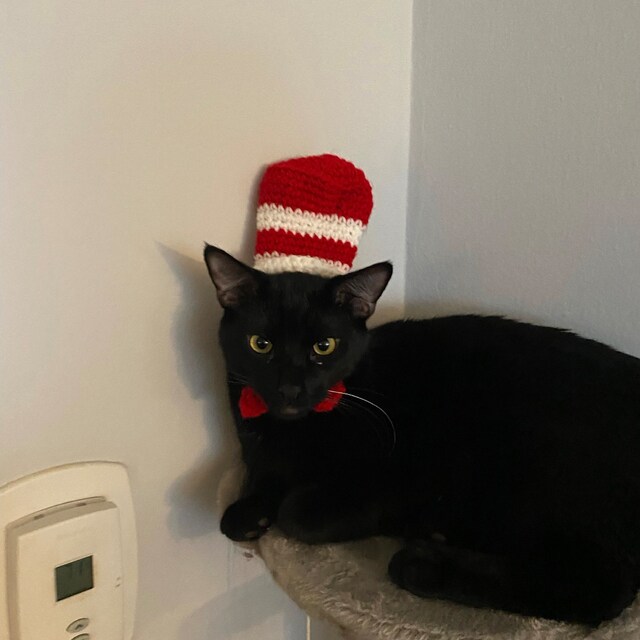 Dr Seuss Outfit Toddler Boy Seuss Cat In The Hat Winter Set