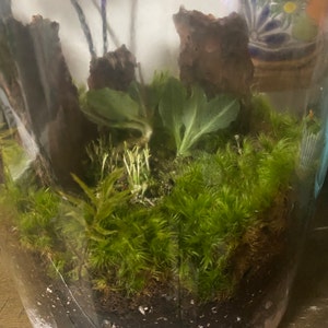 Heidi added a photo of their purchase