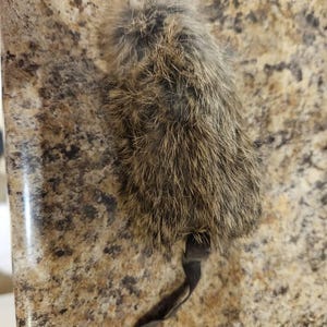 Kari added a photo of their purchase
