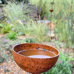 Tessa added a photo of their purchase