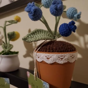 Christopher added a photo of their purchase