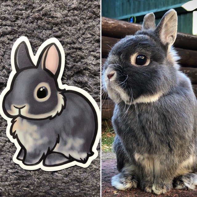 Blue Otter Dwarf Rabbit Sticker; Cute Dwarf Bunny Vinyl Sticker