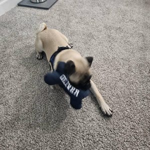 Kim a ajouté une photo de son achat