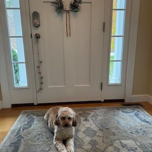 Diane added a photo of their purchase