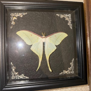 Lillian added a photo of their purchase