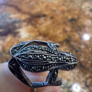 Dr. added a photo of their purchase