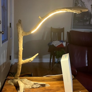 britta added a photo of their purchase