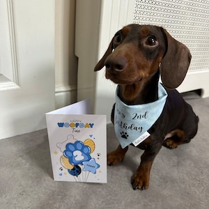 Meera hat ein Foto des gekauften Artikels hinzugefügt