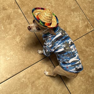 Simon added a photo of their purchase