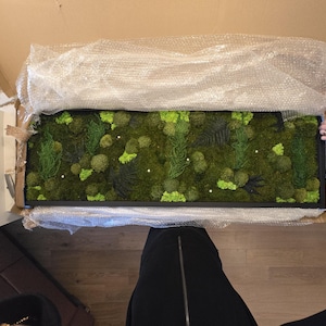 Kelley added a photo of their purchase