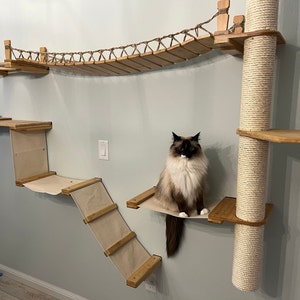 Brittney Hoffman added a photo of their purchase