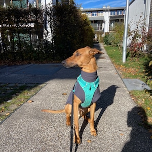 Franziska added a photo of their purchase