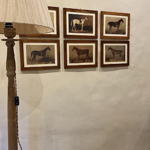 marco ha añadido una foto de su compra