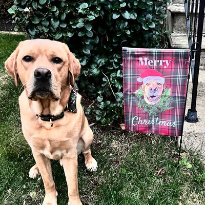 Personalized Dog Garden Flag – “Welcome to The Dog’s House” Custom Pet Photo & Names Yard Flag – Funny Patriotic Outdoor Decor, 4th of July, Housewarming or Dog Lover Gift main image 0