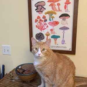 Roberta added a photo of their purchase