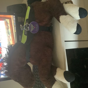 Anne added a photo of their purchase