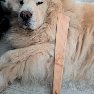 Anna added a photo of their purchase