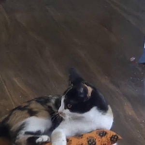 Marla added a photo of their purchase