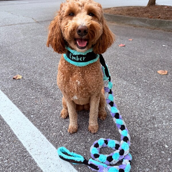 Custom Ribbon Display, Dog Award Ribbon Display Rack, Dog Rosette ...