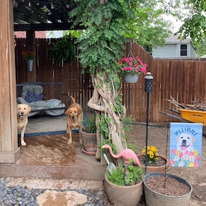 Dale added a photo of their purchase