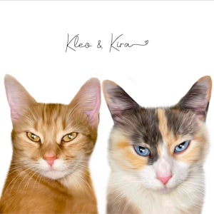 kelsie added a photo of their purchase