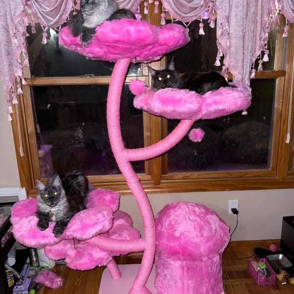 Wood Floral Cat Tree Tower, Wooden Cat Tower, Modern Cat Climbing Tree ... - Custom Cat Tree Tower For Interior Design