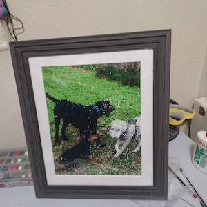 janice added a photo of their purchase