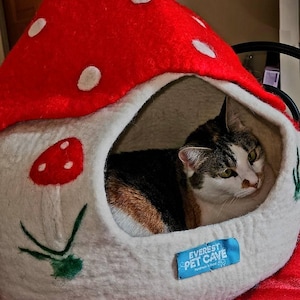 Claudi added a photo of their purchase