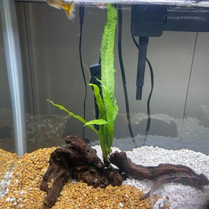 John added a photo of their purchase