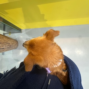 Dionne added a photo of their purchase