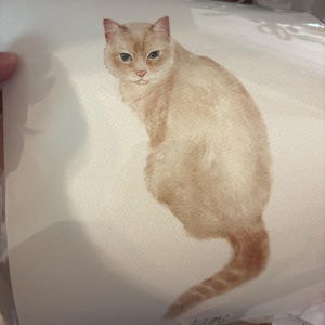 Leslie hat ein Foto des gekauften Artikels hinzugefügt