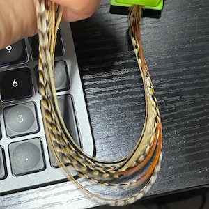 Christy added a photo of their purchase