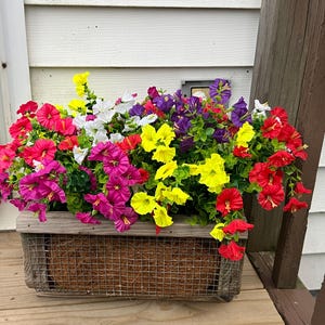 Erin added a photo of their purchase