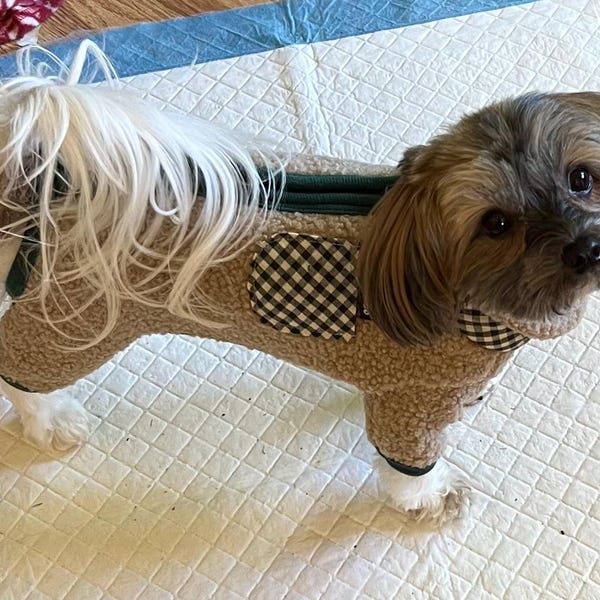 StrawBerry Bliss Dog Pullover (Made to order)