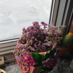 Sara added a photo of their purchase
