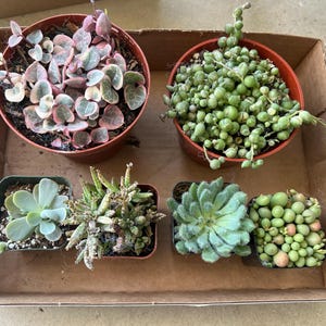 May added a photo of their purchase
