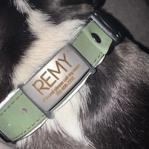 Anthony added a photo of their purchase