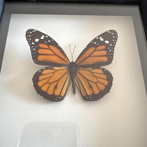 Ezequiel added a photo of their purchase