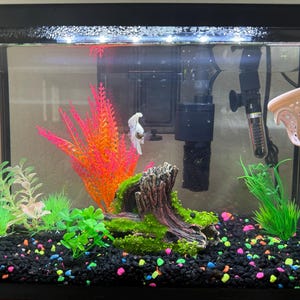 Melissa added a photo of their purchase