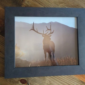 Alyssa added a photo of their purchase