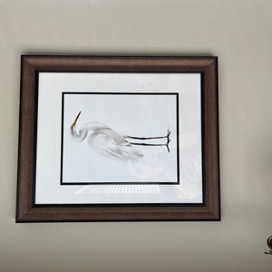 ダイサギの絵画、背の高い白鷺の水彩画、海鳥の版画、海水鳥の