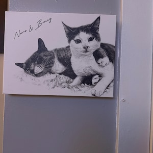 Kasandra added a photo of their purchase
